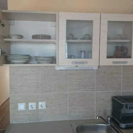 Radenkovi Guest house *